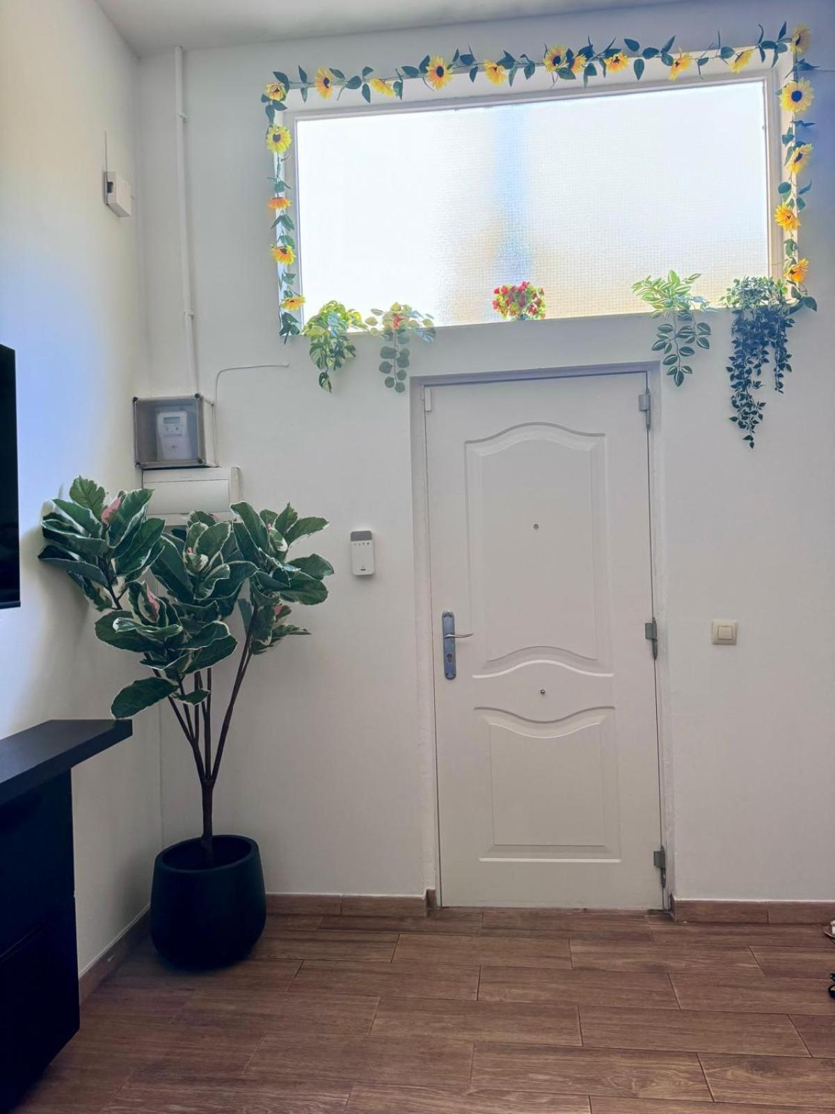 Pamis Apartament Sants, บาร์เซโลนา ภายนอก รูปภาพ