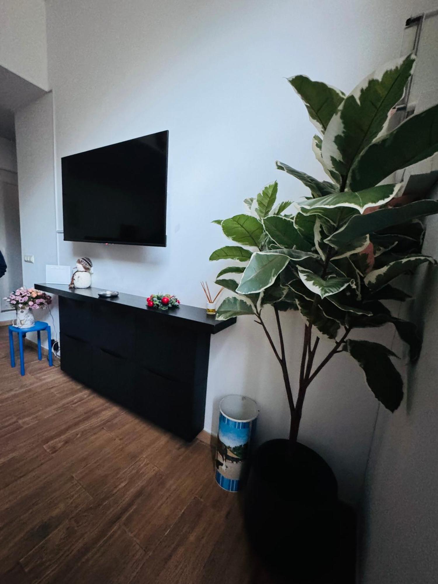 Pamis Apartament Sants, บาร์เซโลนา ภายนอก รูปภาพ